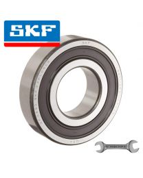 6007 2RS1 SKF